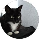 Profilbild von „B. Friess“